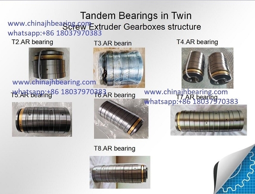 الصين Design Tandem Arrangement F-208004.T6AR Film Extrusion Gearbox Shaft Bearing المزود